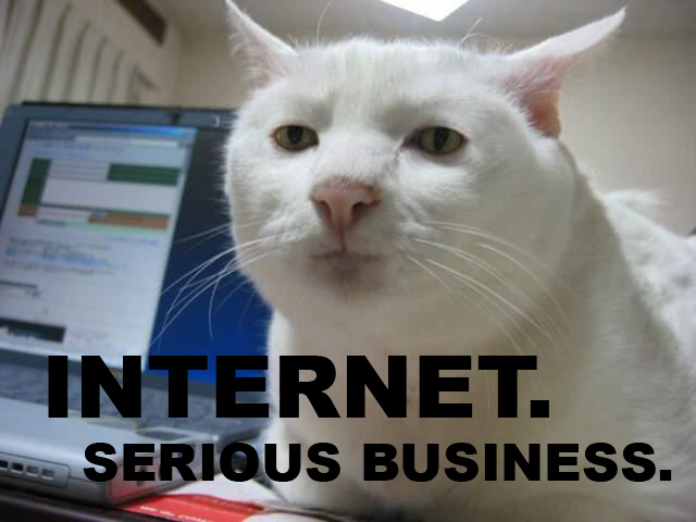internet-serious-business-cat